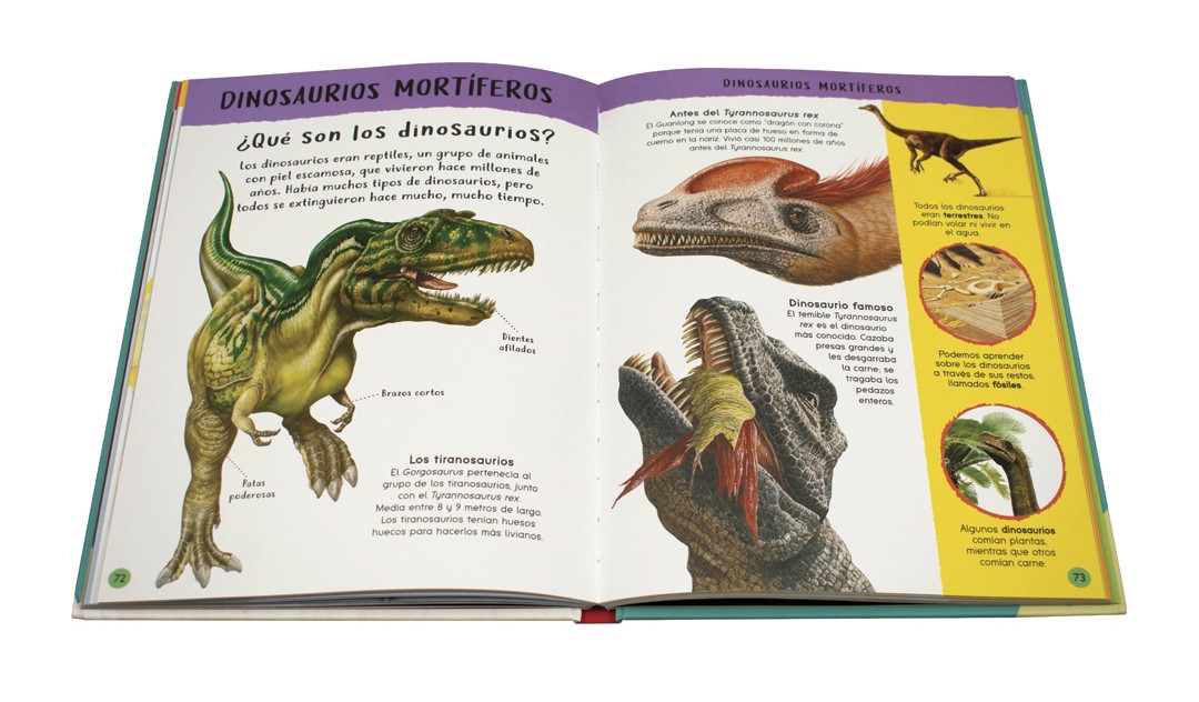 Enciclopedia De Datos Fascinantes