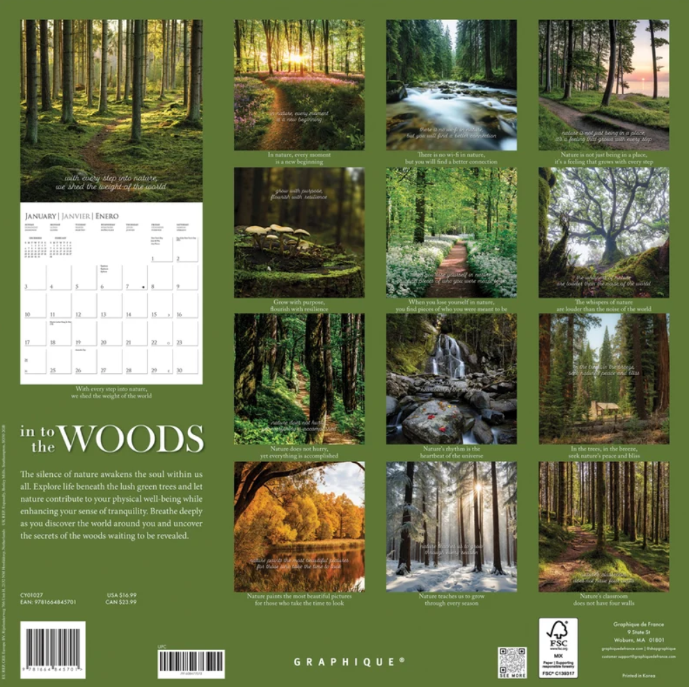 WC 2027 In to the Woods CY01027