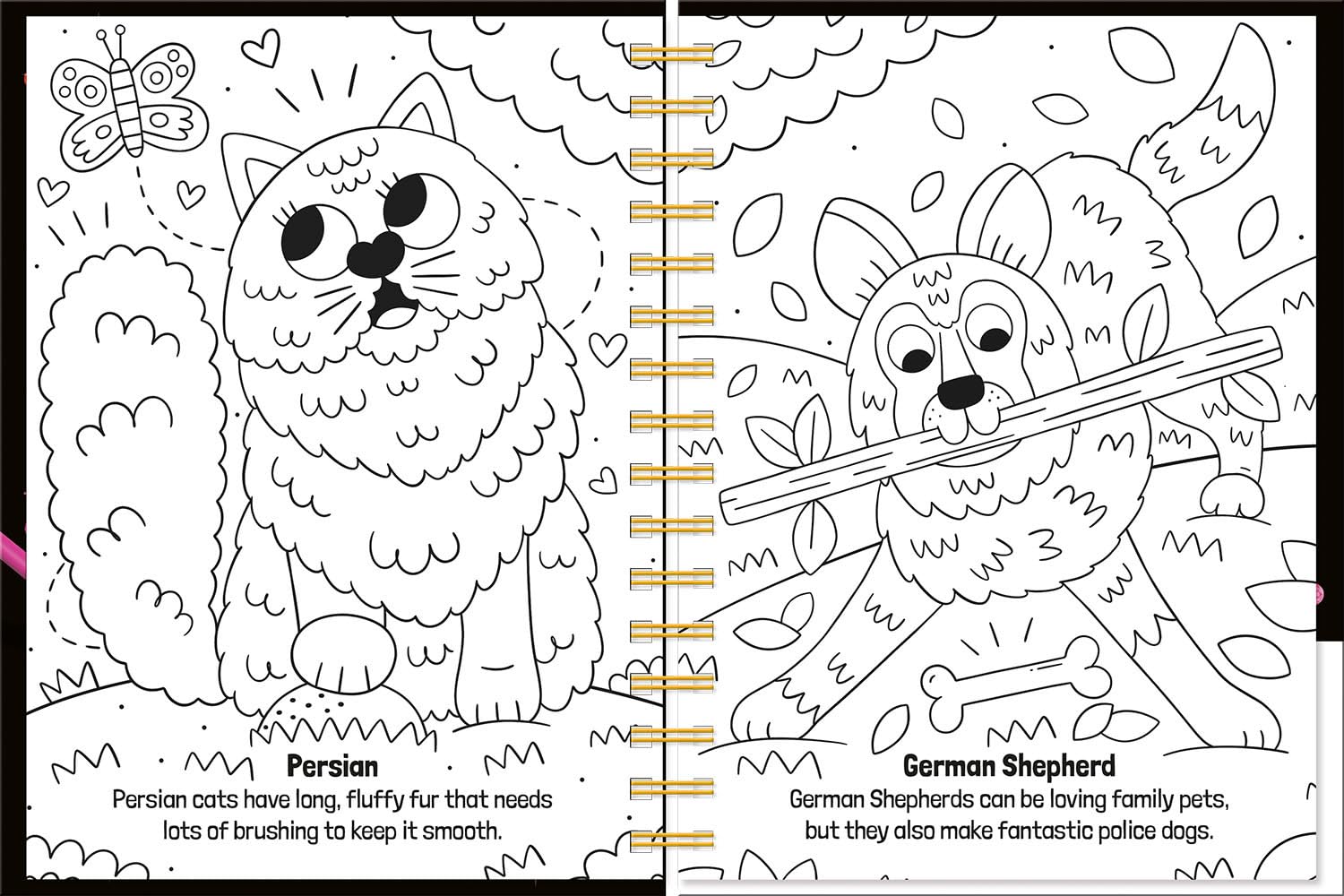 Crystal Fun: Cats &amp; Dogs