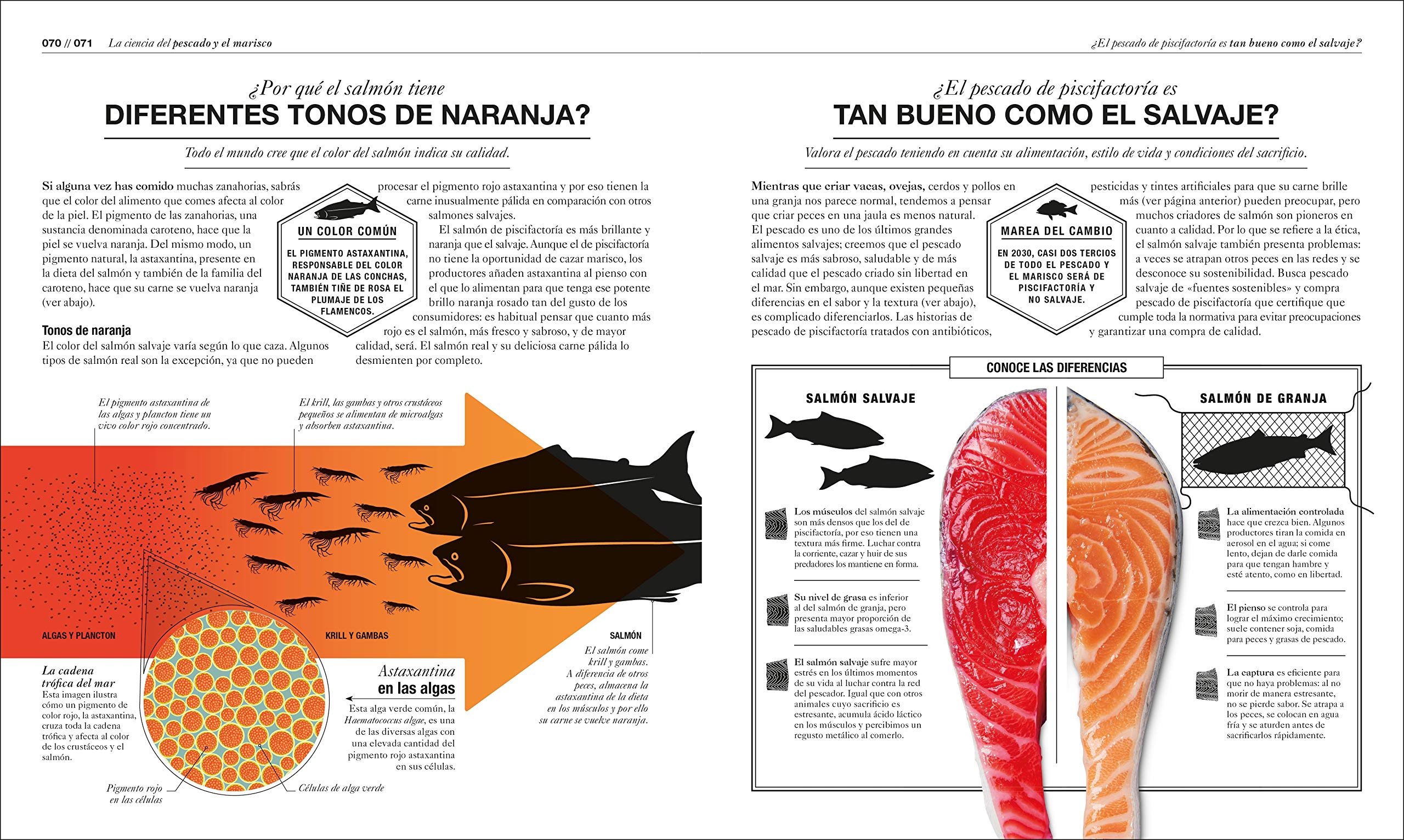 DK Cocinologia: La ciencia de cocinar