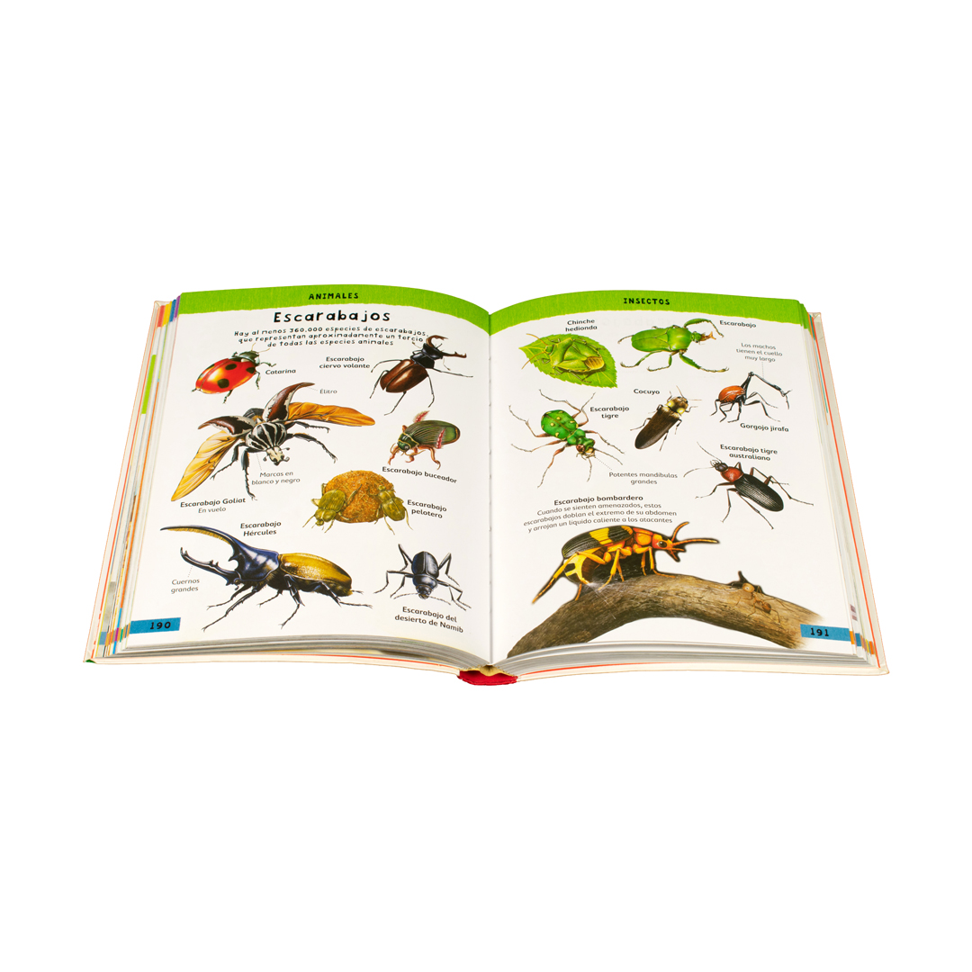 Diccionario ilustrado para niños