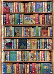 Journal Boys Books (FTNB109)