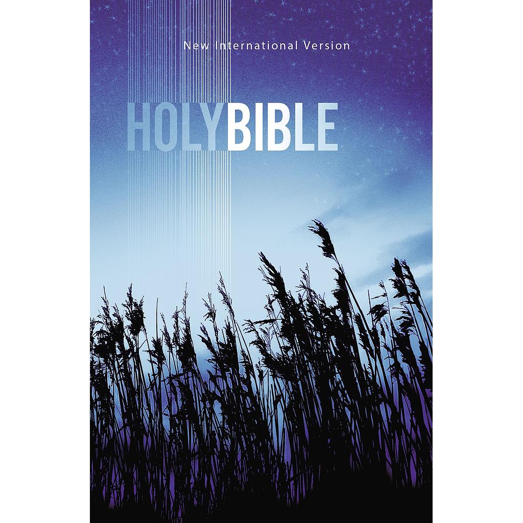 Holy Bible NIV *
