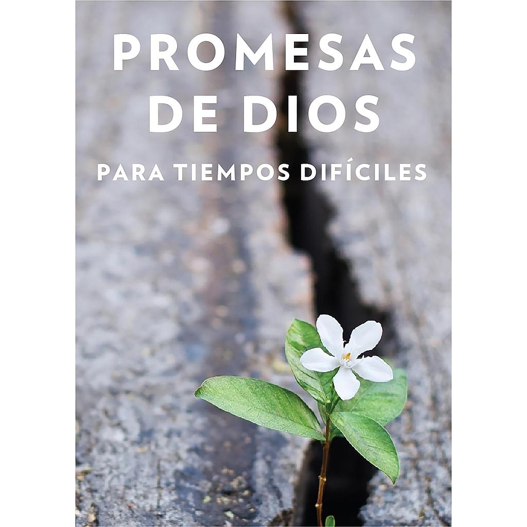 Promesas de Dios para tiempos dificiles