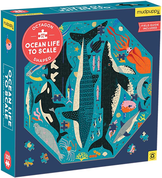 Puzzle ocean life to scale 300