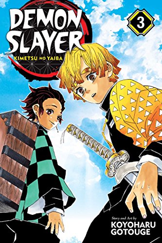 Demon Slayer Vol. 3