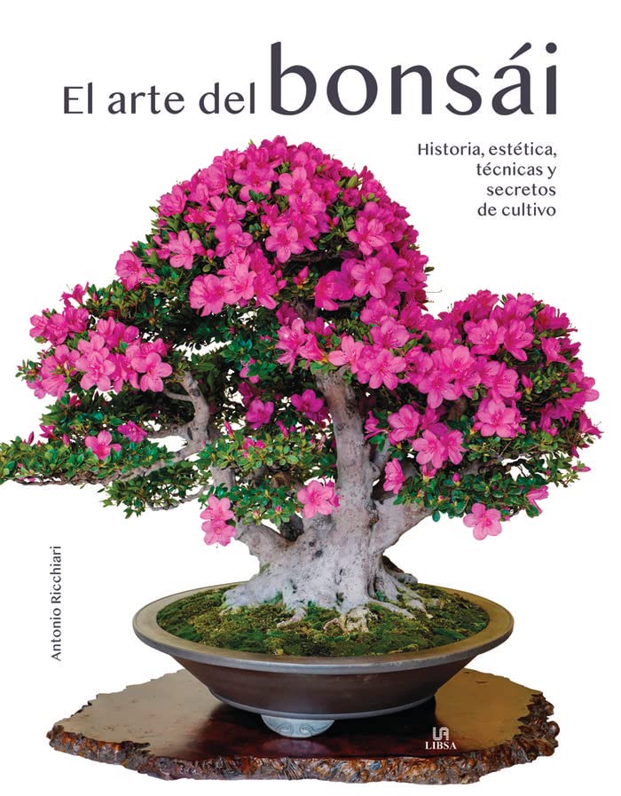 El arte del bonsai