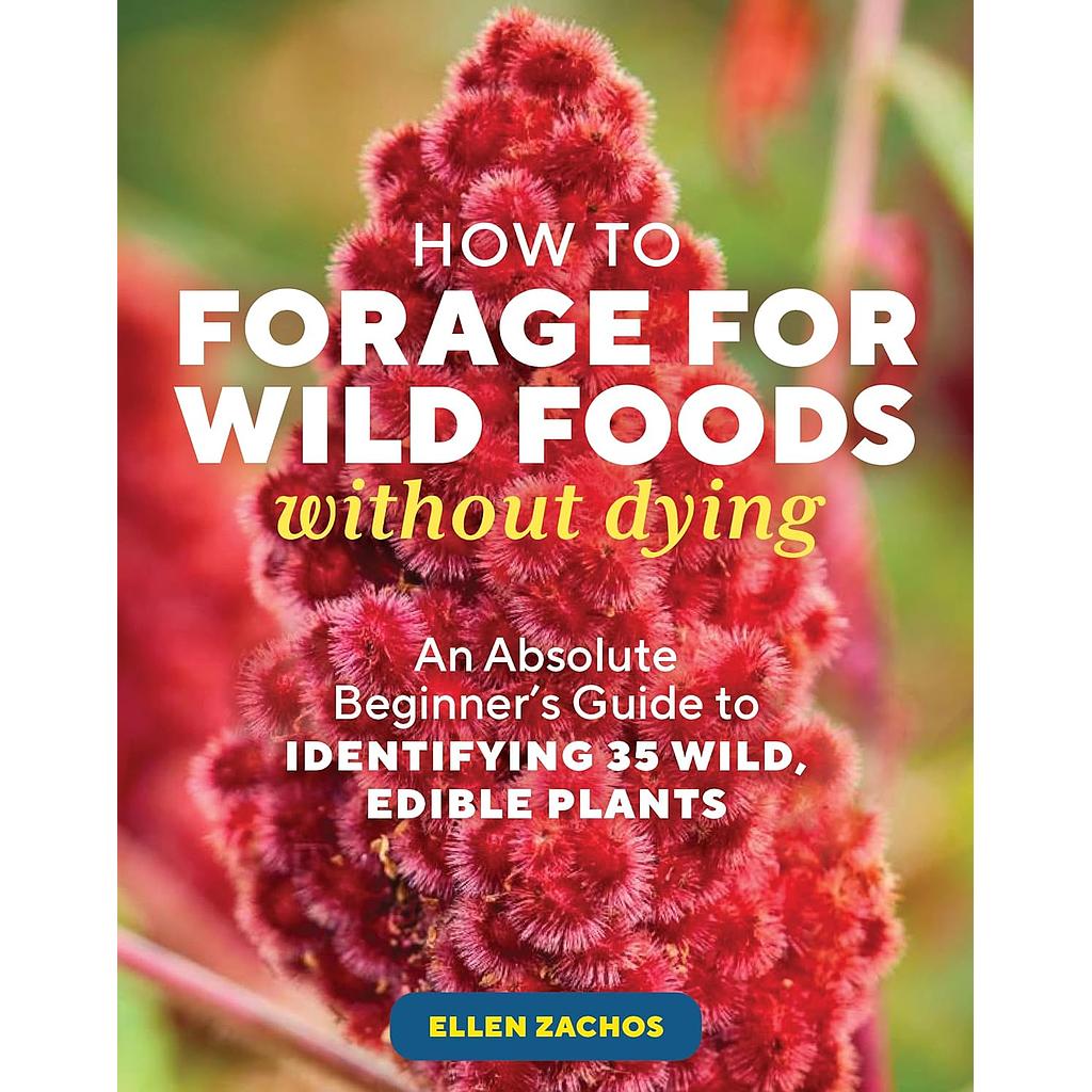 How to Forage for Wild Foods without