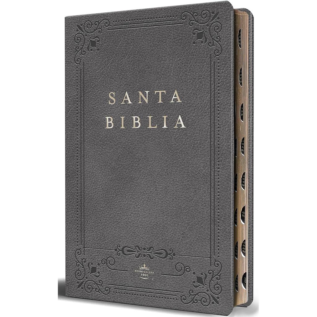 Biblia RVR 1960 letra grande tamaño manual, Piel gris con indice