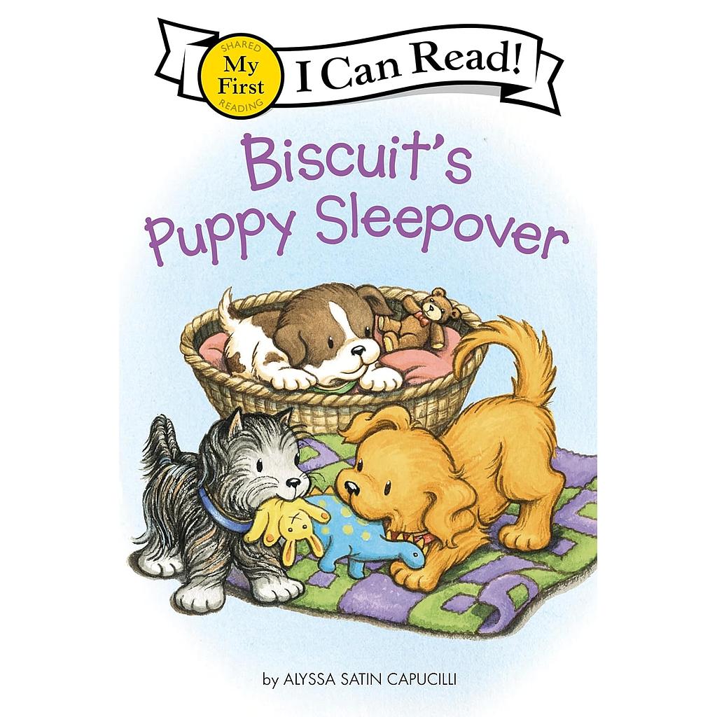 ICRMF Biscuit's Puppy Sleepover