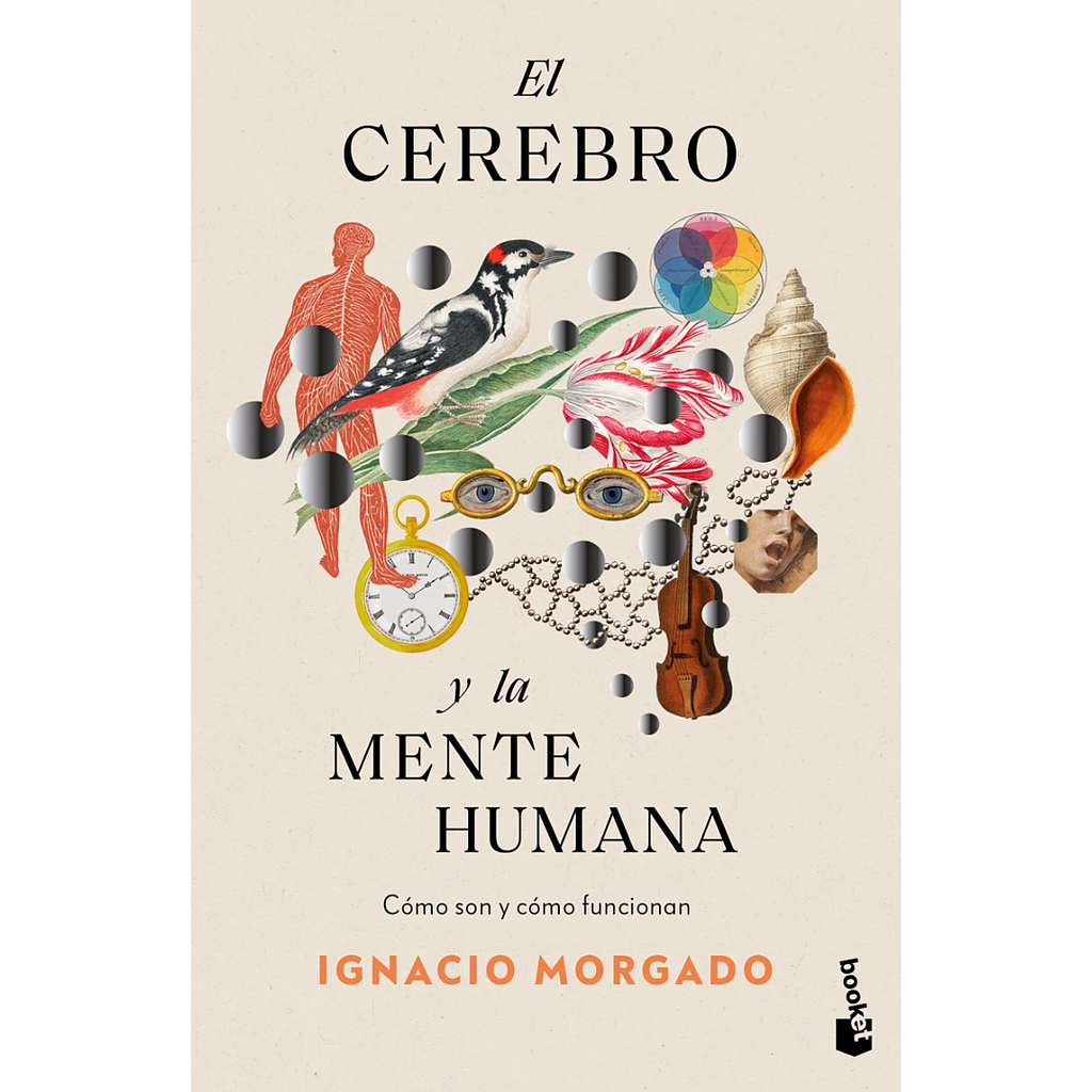 El cerebro y la mente humana