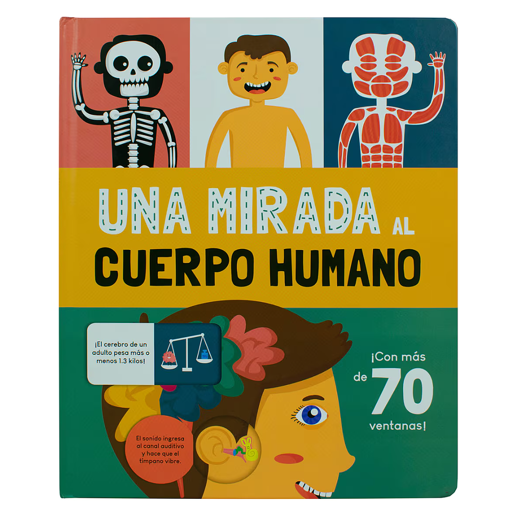 Una mirada al Cuerpo Humano