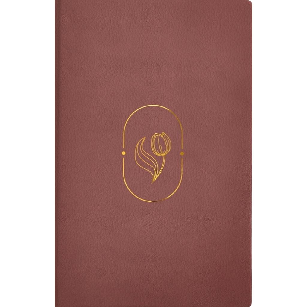 Biblia de Promesas Virtuosa, RVR1960, Letra gigante, Piel especial, Rosa