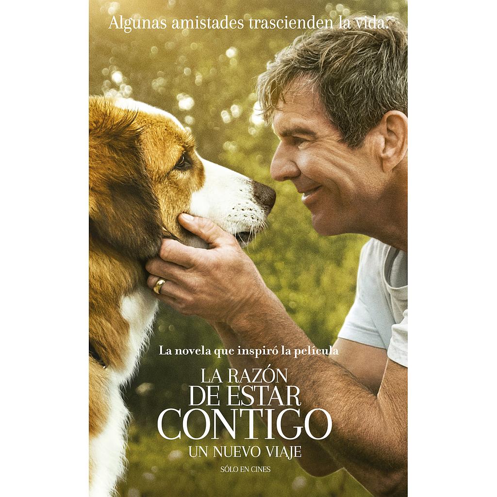 La razon de estar contigo 2: Un nuevo viaje