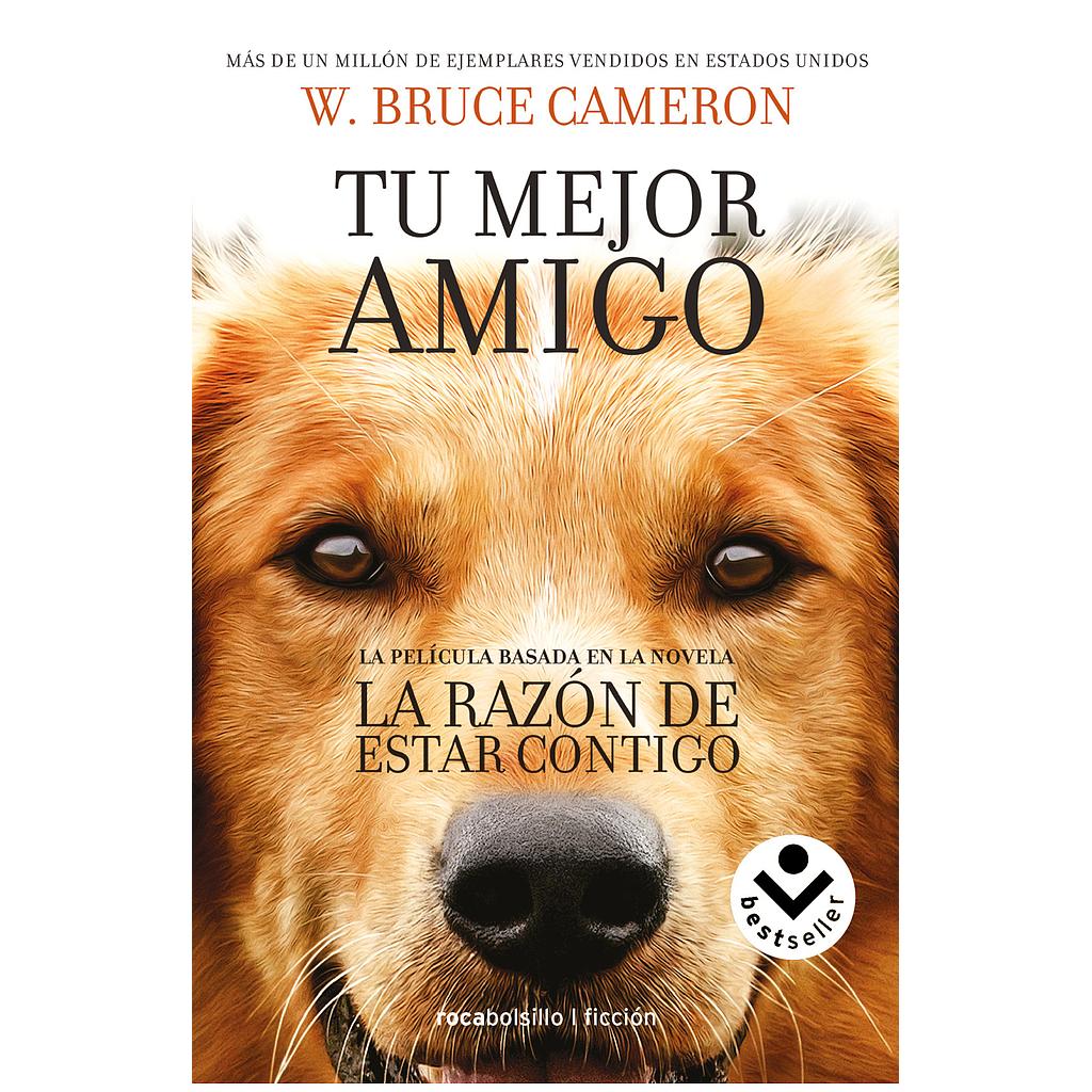 La razon de estar contigo 1: Tu mejor amigo