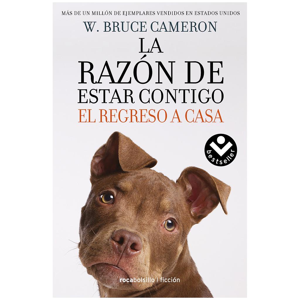 La razon de estar contigo 3: El regreso a casa