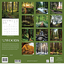 WC 2027 In to the Woods CY01027