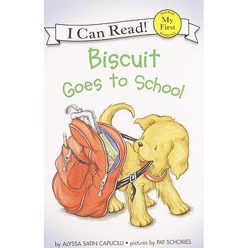 ICRMF Biscuit Goes to School