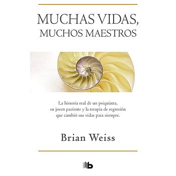 Muchas vidas, muchos maestros