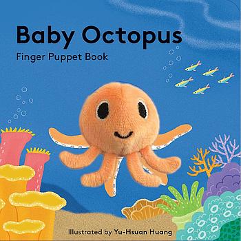 Baby octopus