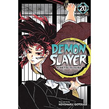 Demon Slayer Vol. 20