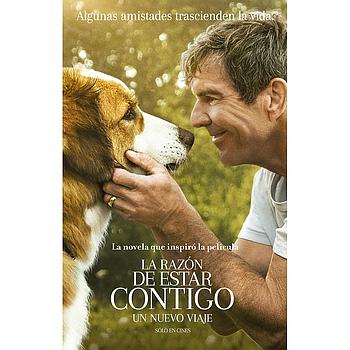 La razon de estar contigo 2: Un nuevo viaje