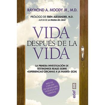 Vida despues de la vida
