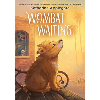 Wombat waiting