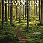 WC 2027 In to the Woods CY01027